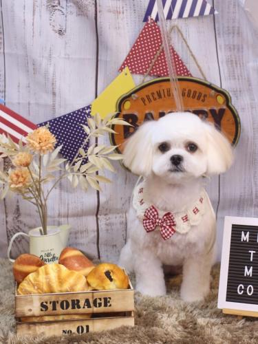 20240914茶子ちゃん